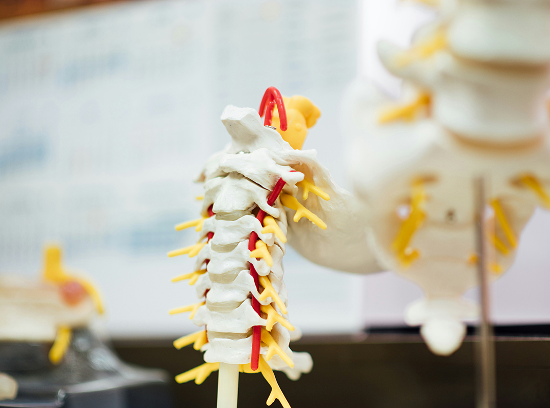 neurochirurgo maccari trattamenti offerti