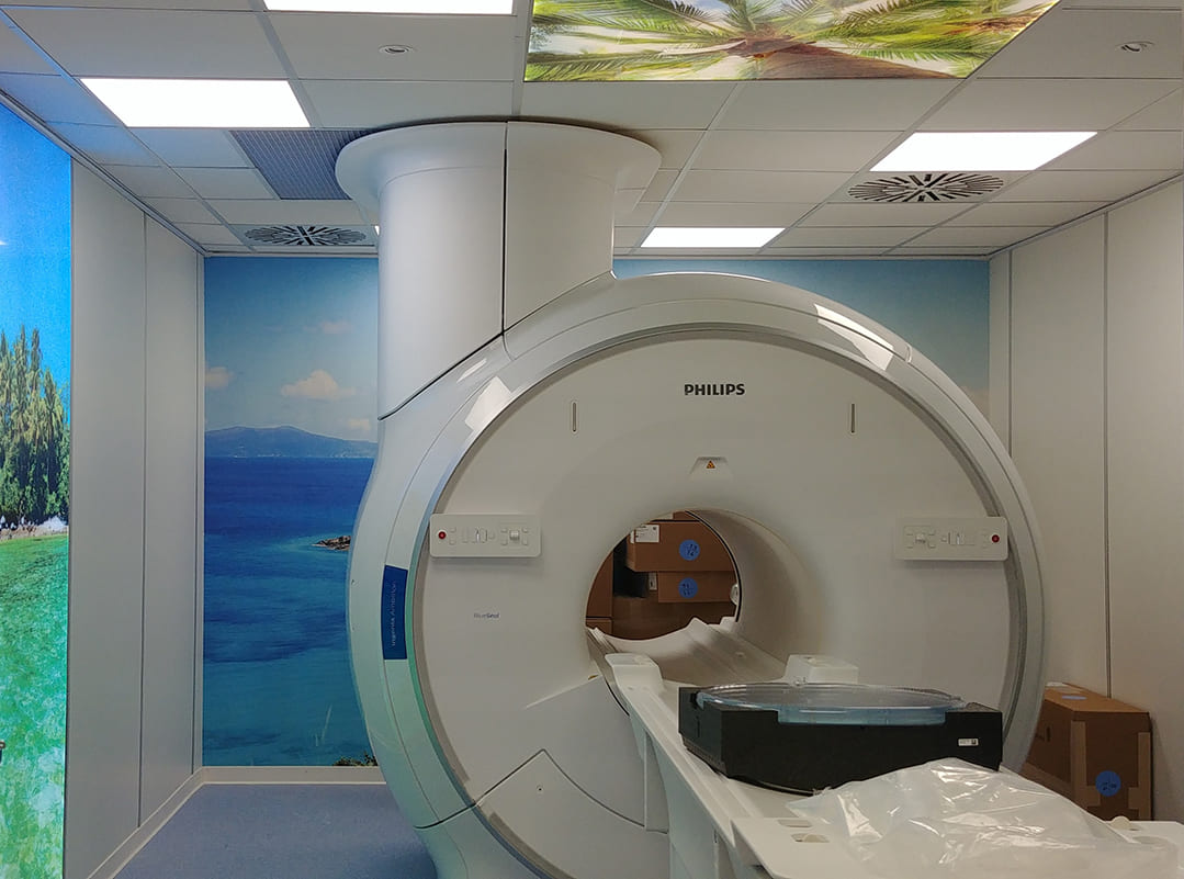 diagnostica nobiliare roma